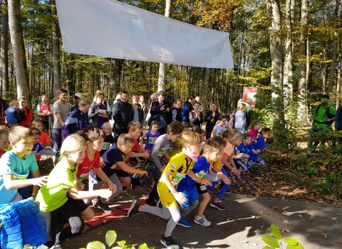 Bild von Marchethon Bern 2026: Jeder Schritt zählt