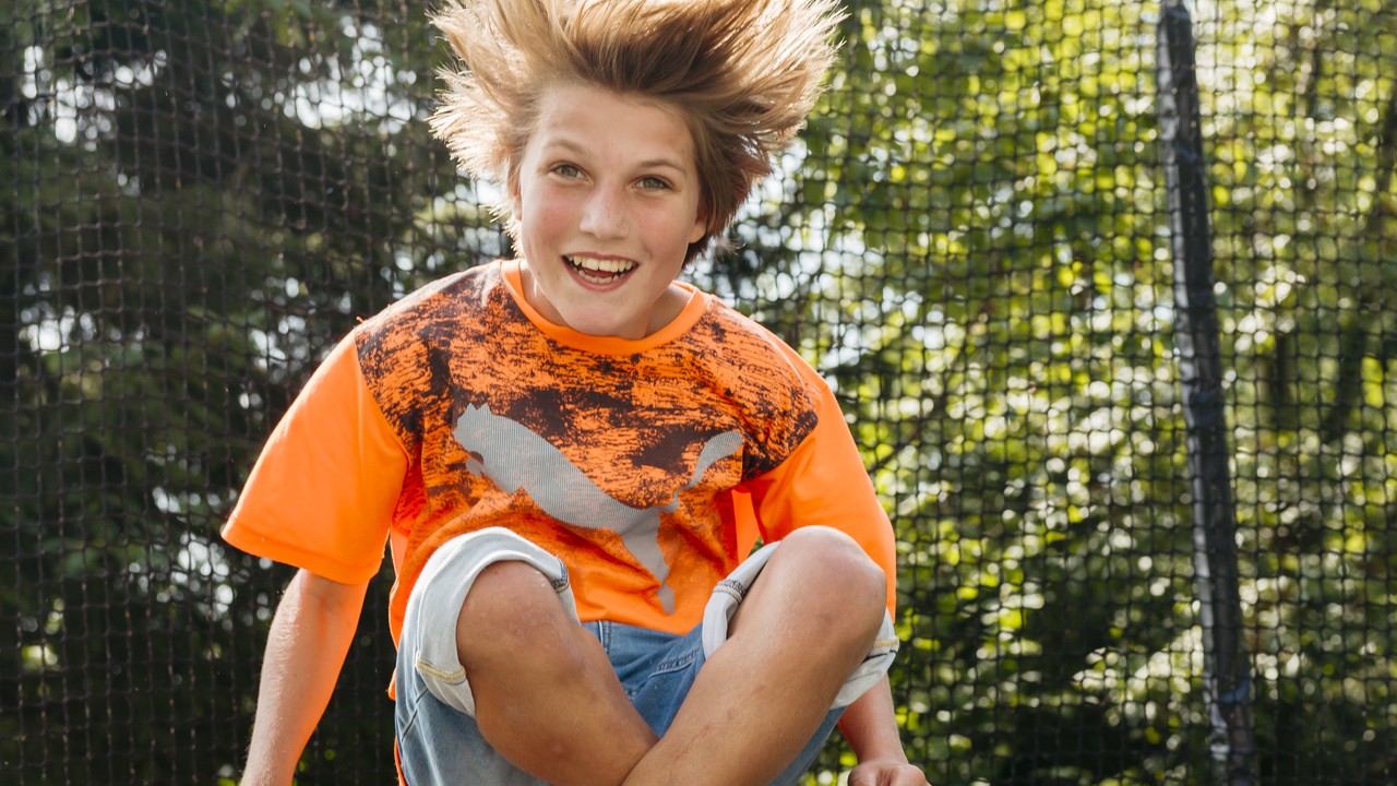 Lion auf dem Trampolin