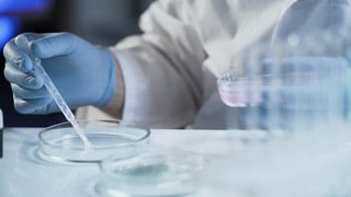 Forschung und CF-Therapien in Entwicklung