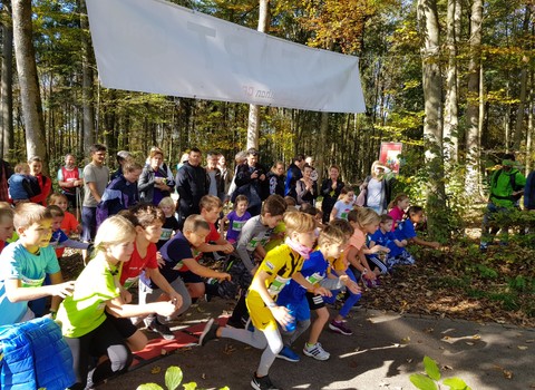 Bild von marchethon de Berne 2026 : chaque pas compte