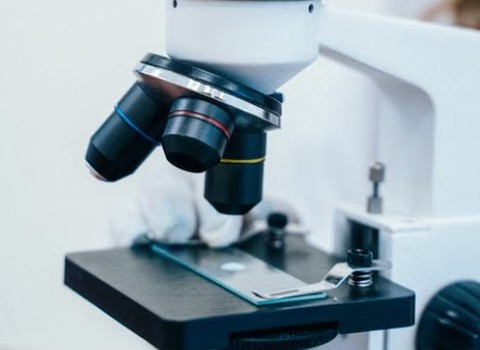 Bild von Aktuelle Forschung: Neue Erkenntnisse von der ECFS-Konferenz
