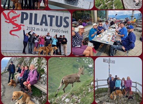 Bild von Ausflug der Lungentransplantierten