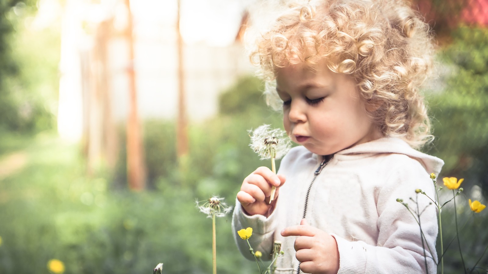 Bild von  Startseite