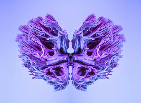 Bild von Organspende im Wandel: Swisstransplant Symposium 2026