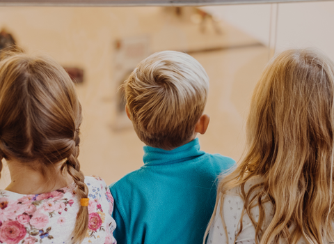 Bild von Weiterbildungstag: Gefühle von Geschwisterkindern im Fokus